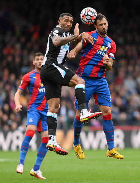 或许将成为 或许将成为