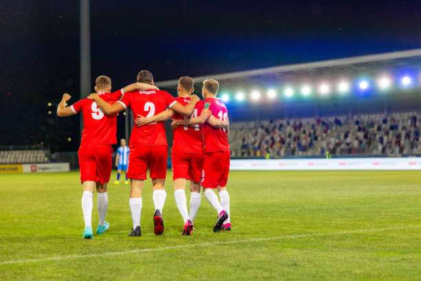 数据分析 数据分析